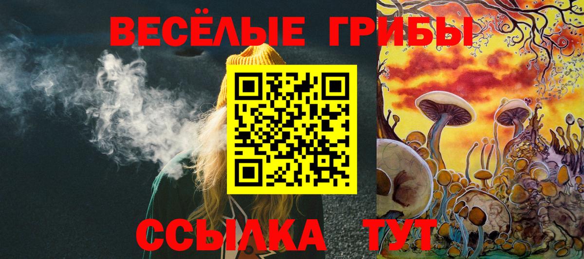 Псилоцибиновые грибы Psilocybe Балашов