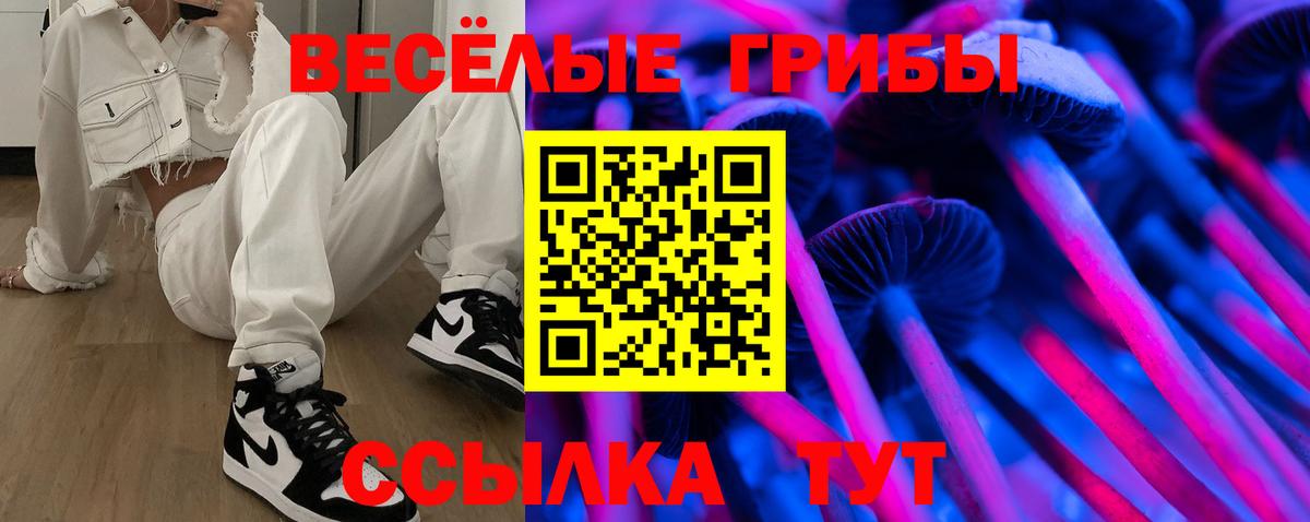 Псилоцибиновые грибы GOLDEN TEACHER  Вход с VPN  Балашов  Галлюциногенные грибы ЛСД 